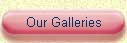 Our Galleries